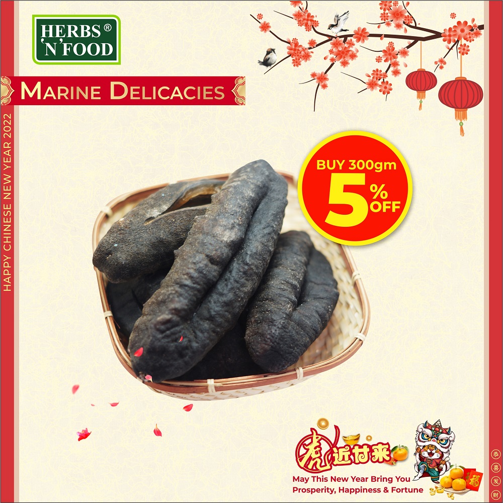 HNF MALDIVES ZHUPO SEA CUCUMBER 300g